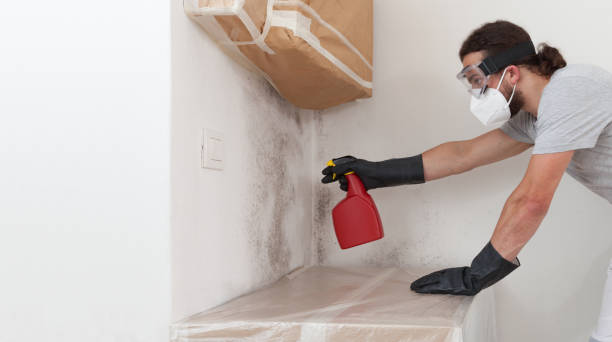 Professional Crawl Space Mold Remediation technician working in Middletown, NY