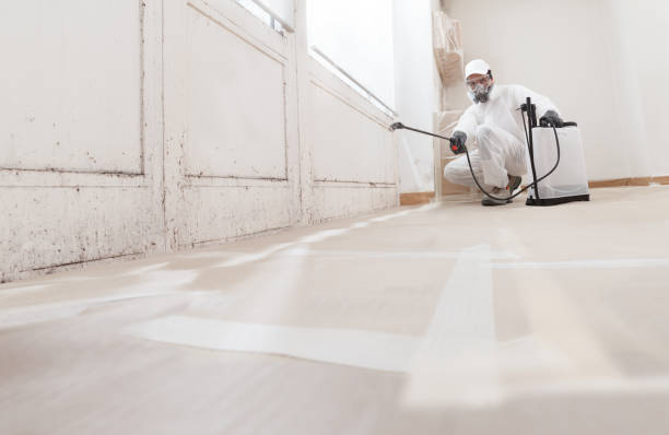 24/7 Emergency Crawl Space Mold Remediation experts in Middletown, NY